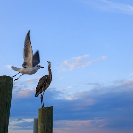 Forest Beach Villas Hilton Head Island Cameră foto